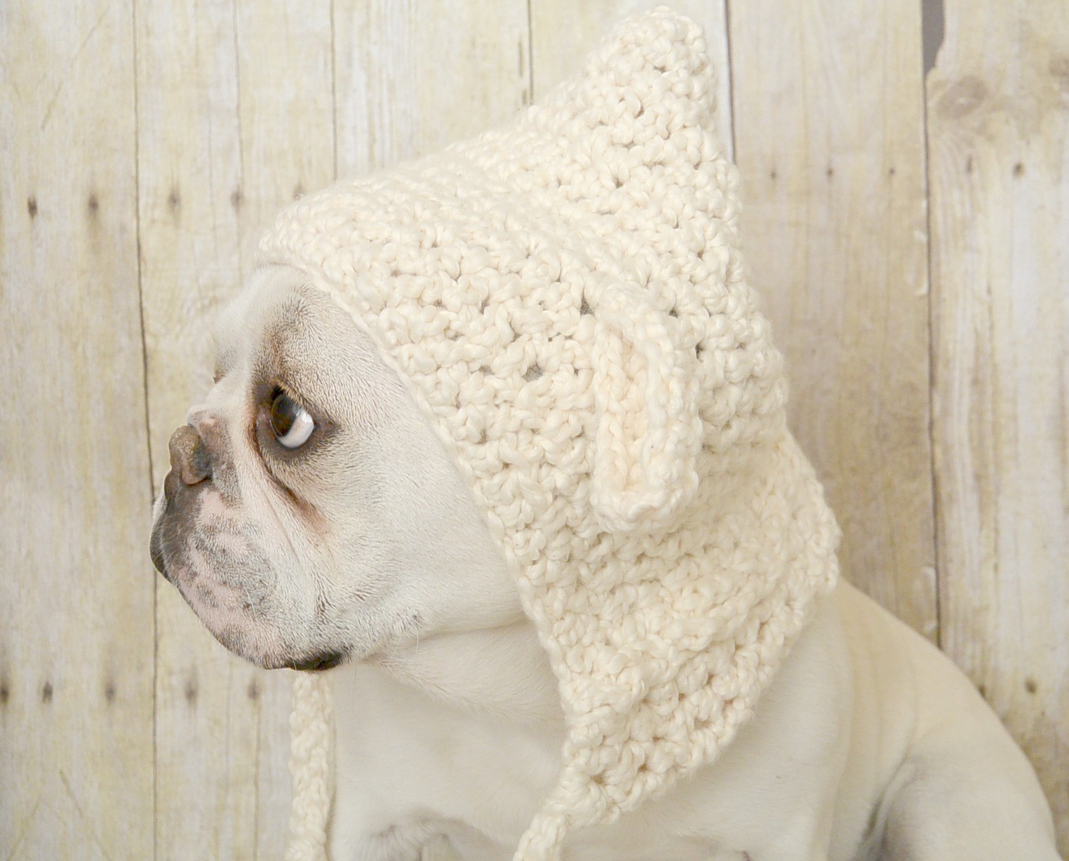 Little Lamb- Easy Crochet Hat