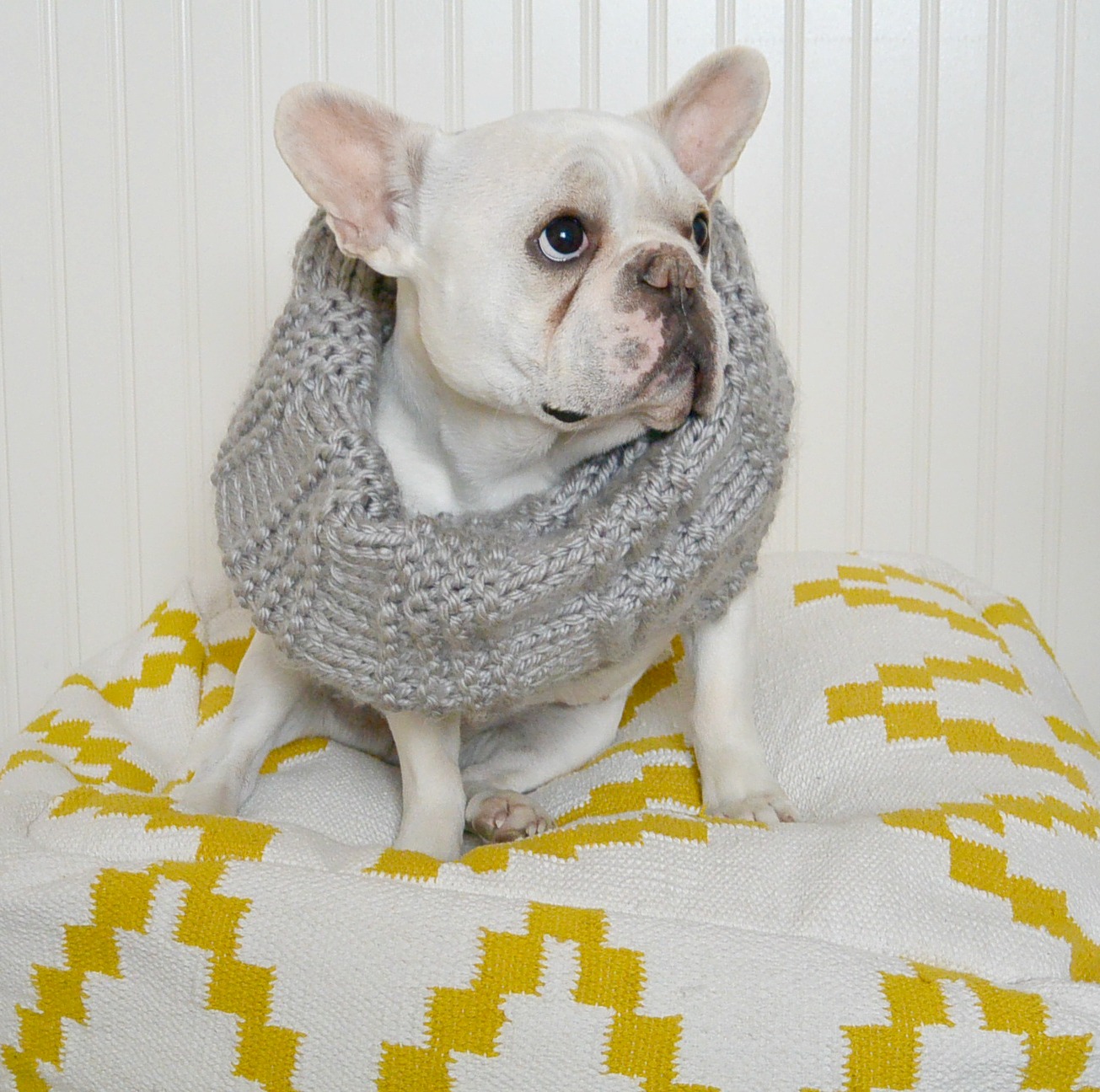 Scarves and Cowls – Oh My!