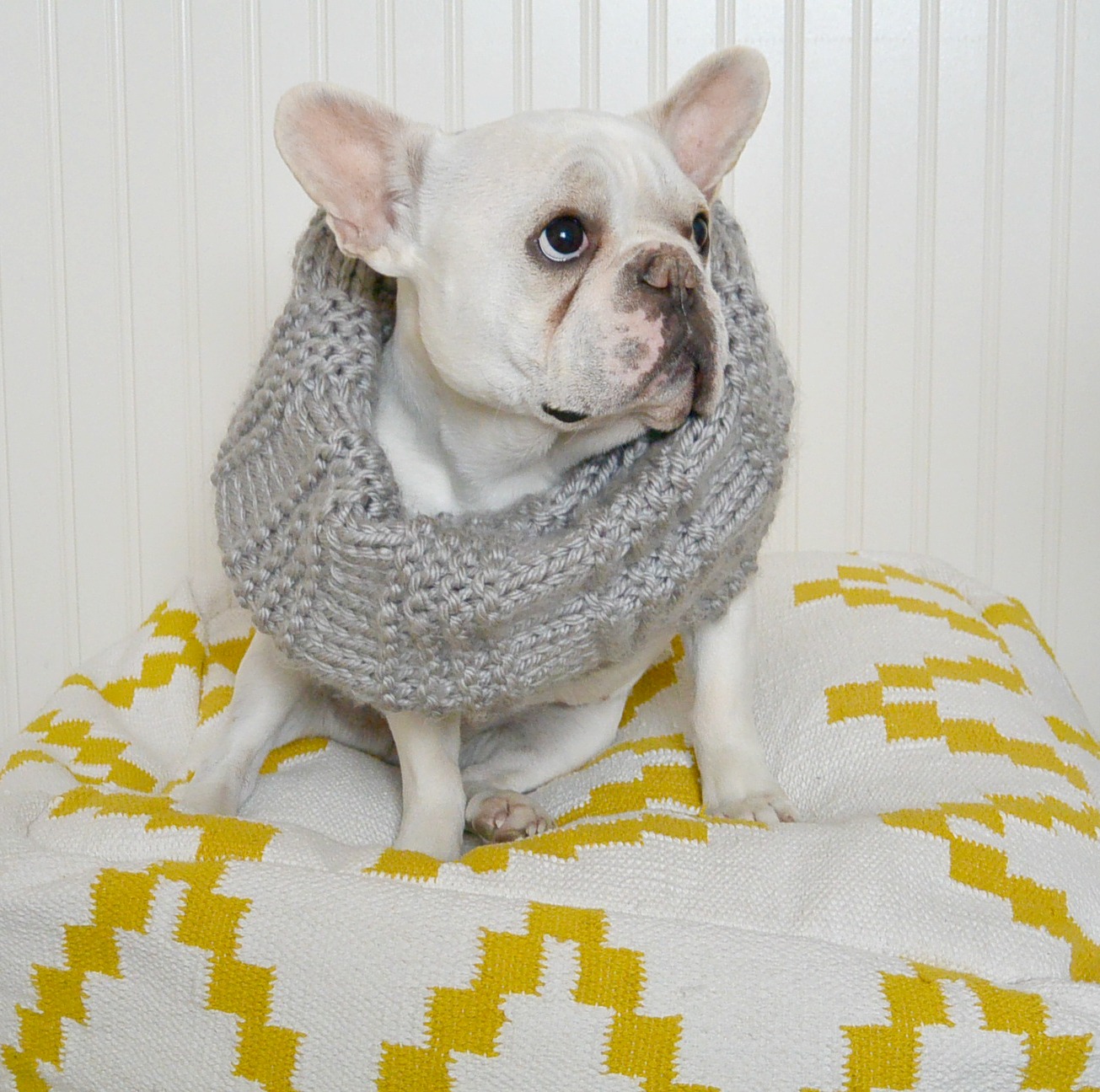 Scarves and Cowls Oh My Mama In A Stitch