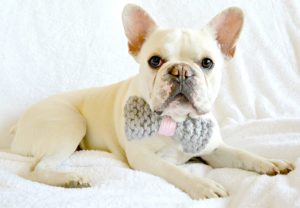 Easy Knit Bow for dog collar