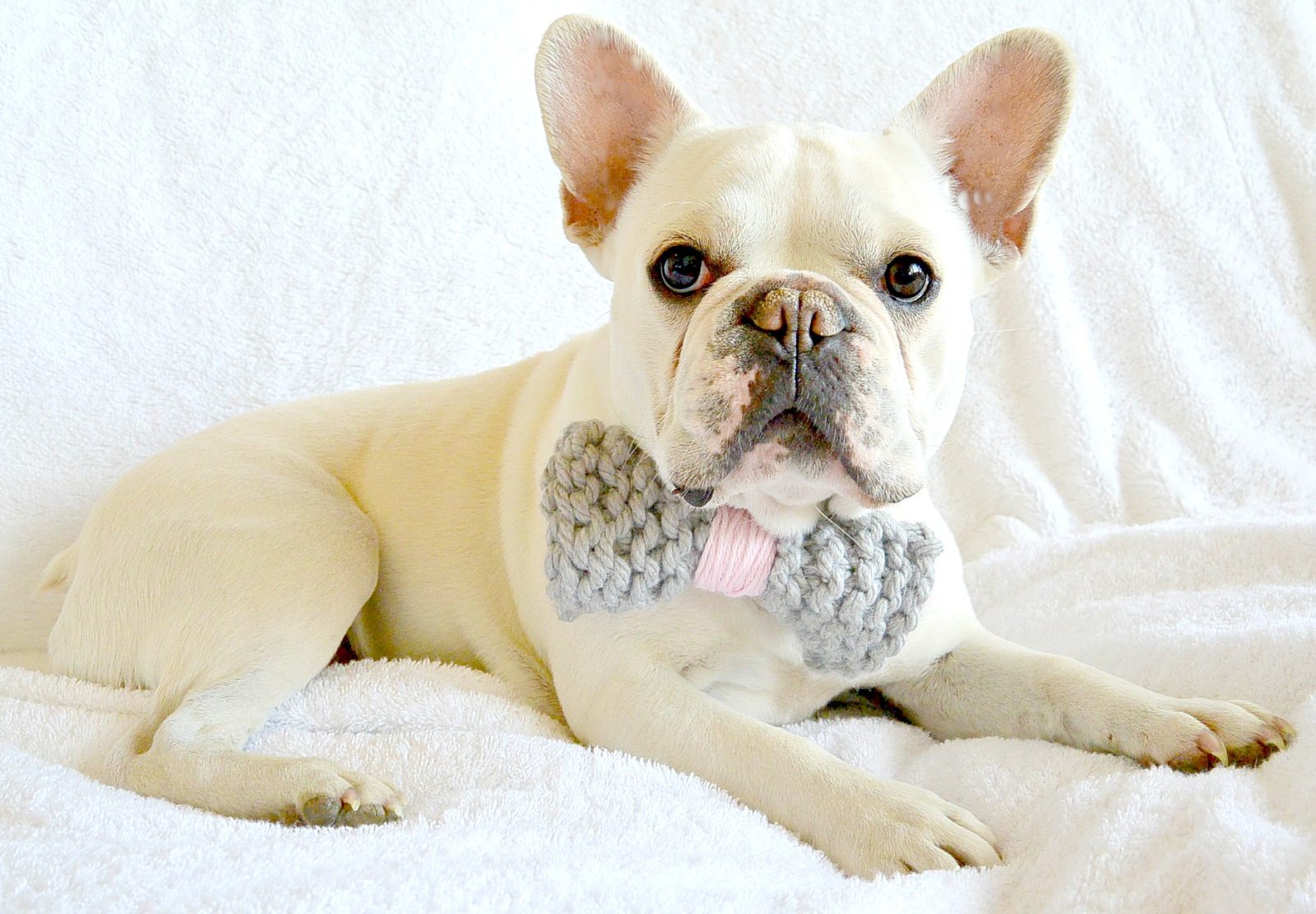 Stash Buster - Knit Bow Tie and Pom-Pom Collar – Mama In A Stitch