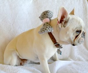 Easy knit dog bow