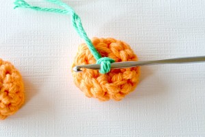Crochet Pumpkin Stem