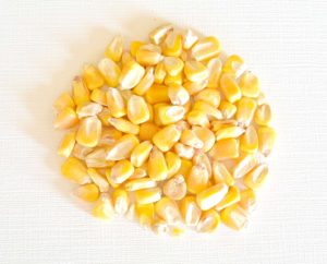 Corn for heating pad