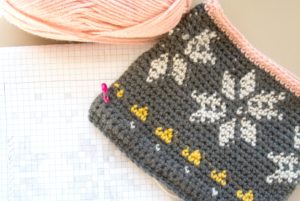 Tapestry Crochets Bag and Graph