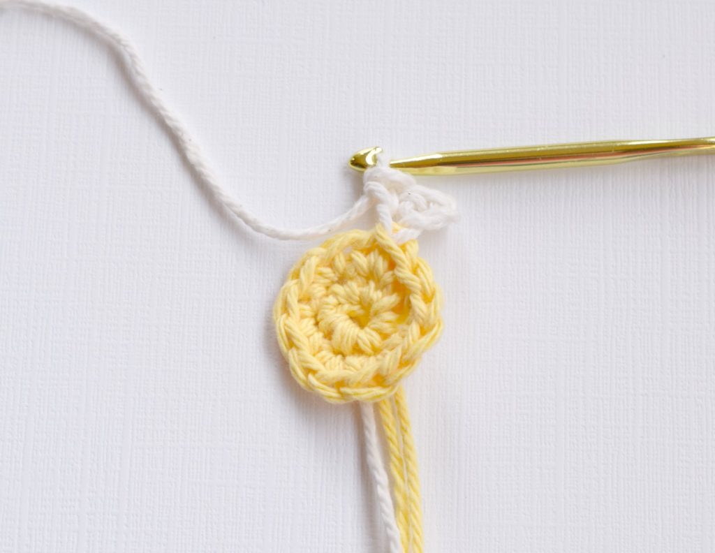 Crochet Daisy Picture How To