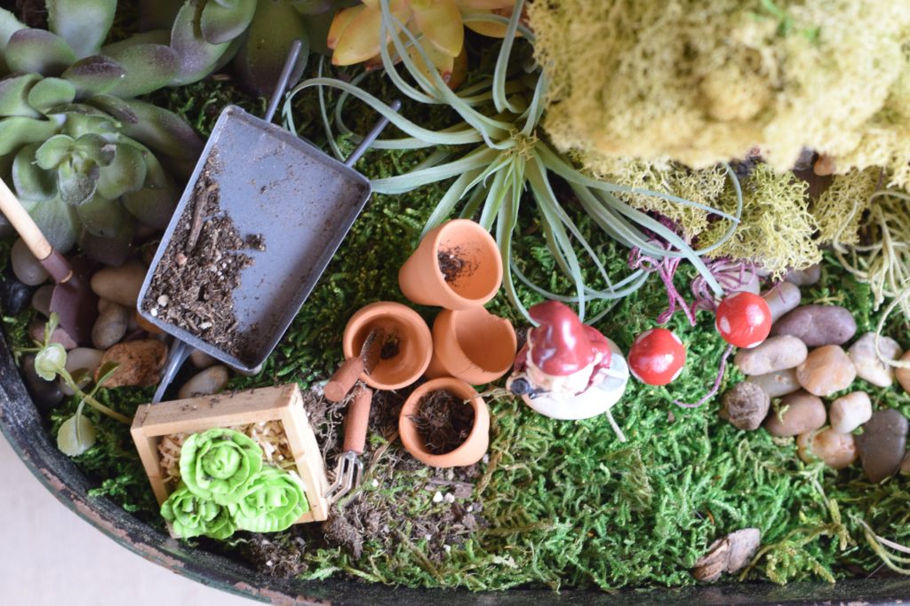 Fairy Garden