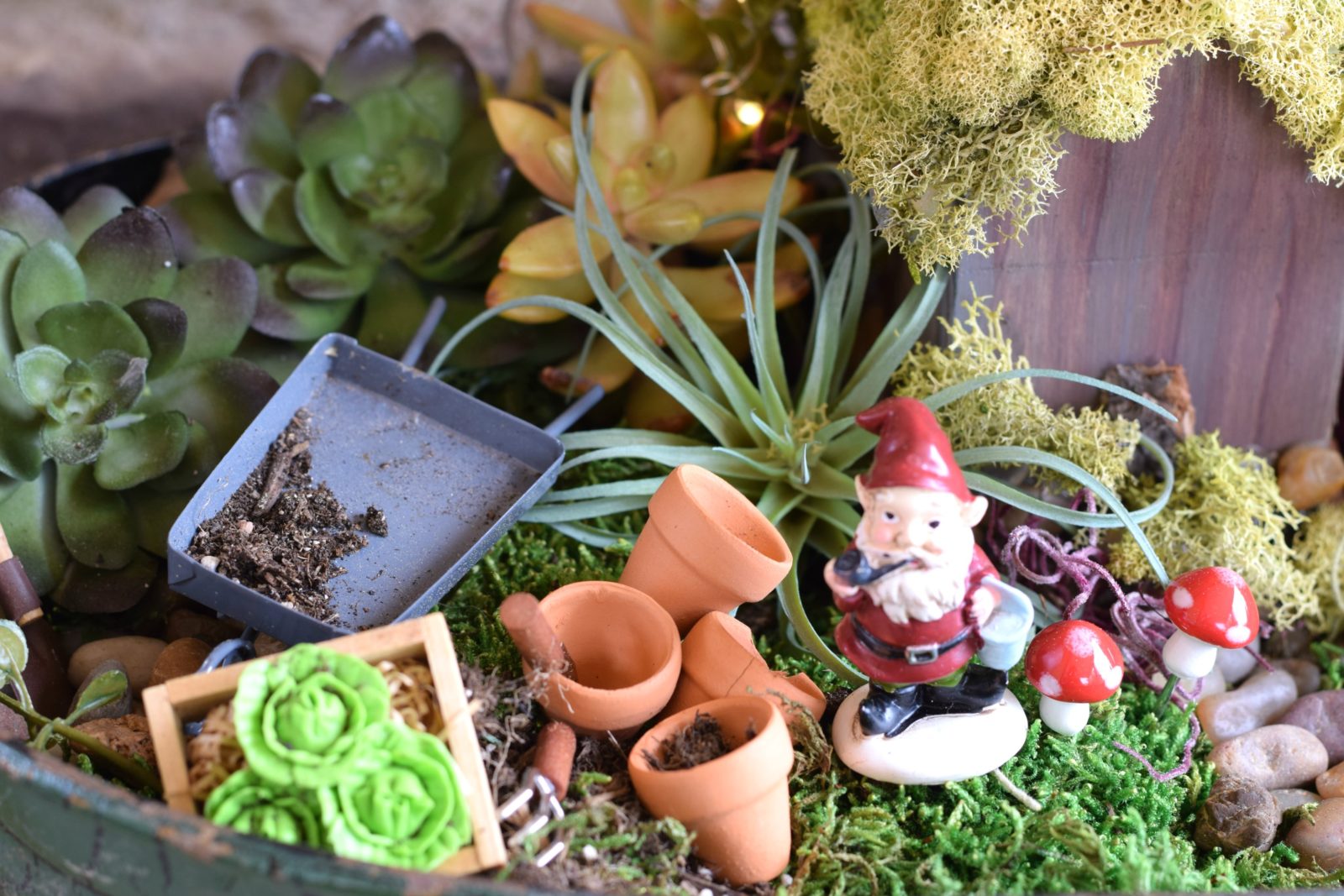 How To Make A Fairy Garden (with kids)