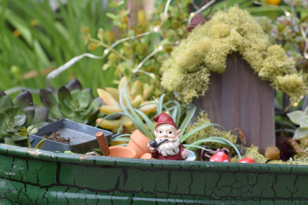 Fairy Garden How To