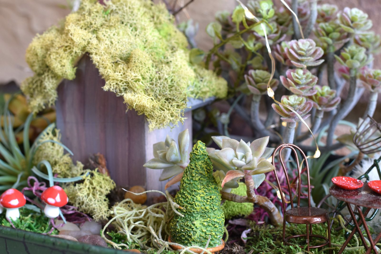 How To Make A Fairy Garden With Kids Mama In A Stitch