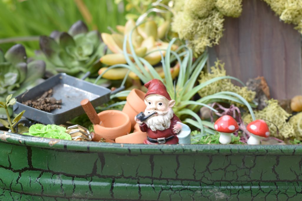 Fairy Garden Succulents on Budget