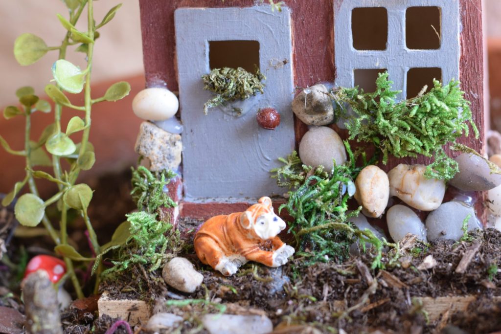 Fairy Garden for kids