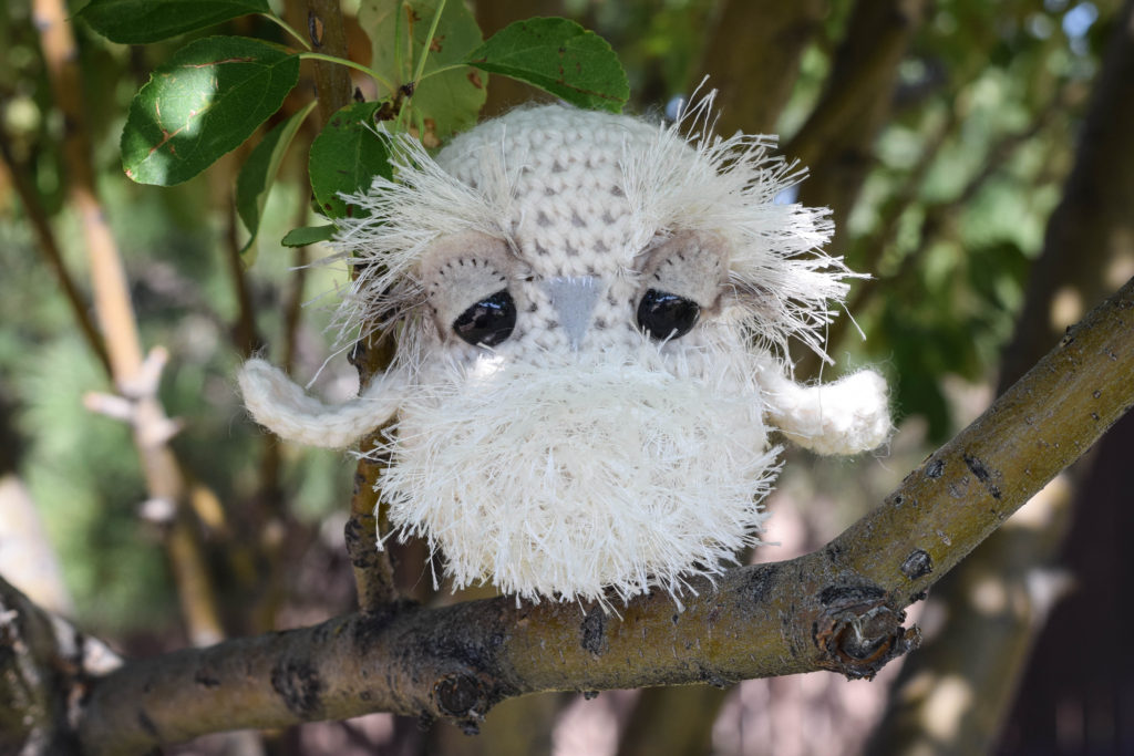 Baby Snow Owl