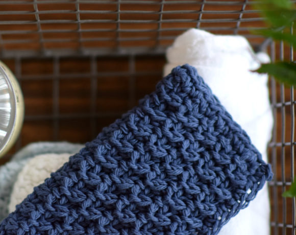 How To Crochet Textured Stitch & Hostess Washcloth
