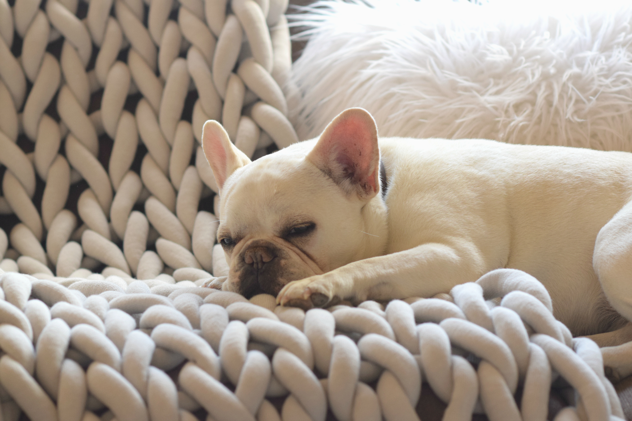 How To Hand Crochet A Big Yarn Blanket – Mama In A Stitch