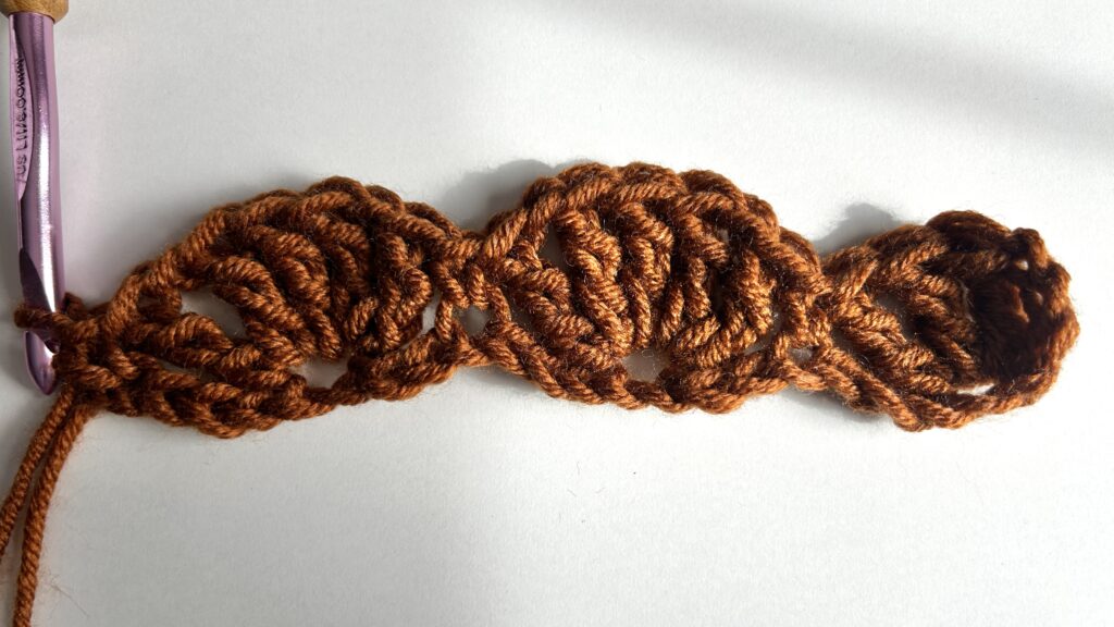 Chunky Shells Crochet Stitch