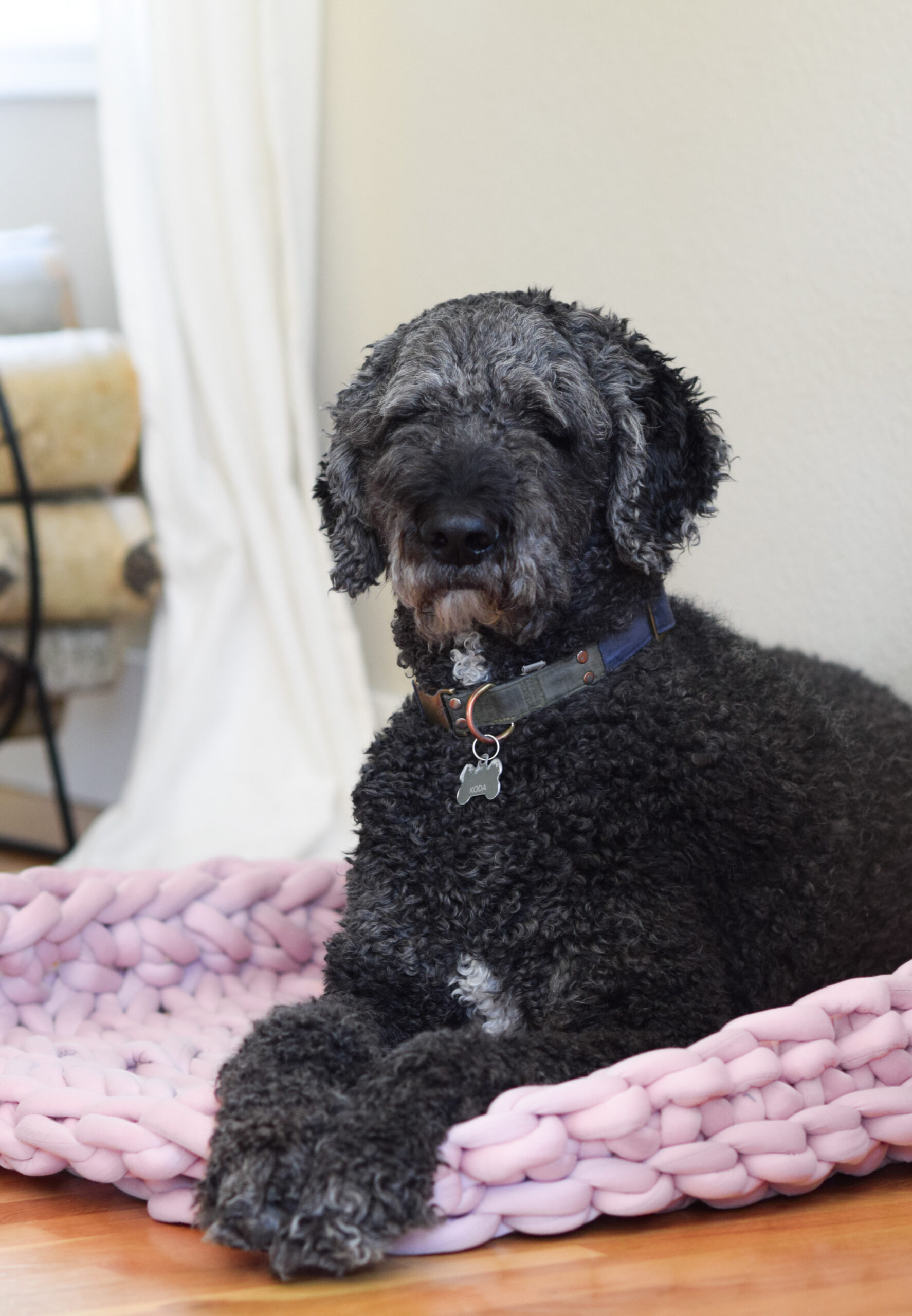 Beginner Hand Knit Dog Bed